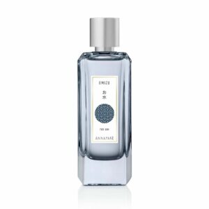 Perfumy Męskie Annayake Omizu EDT 100 ml